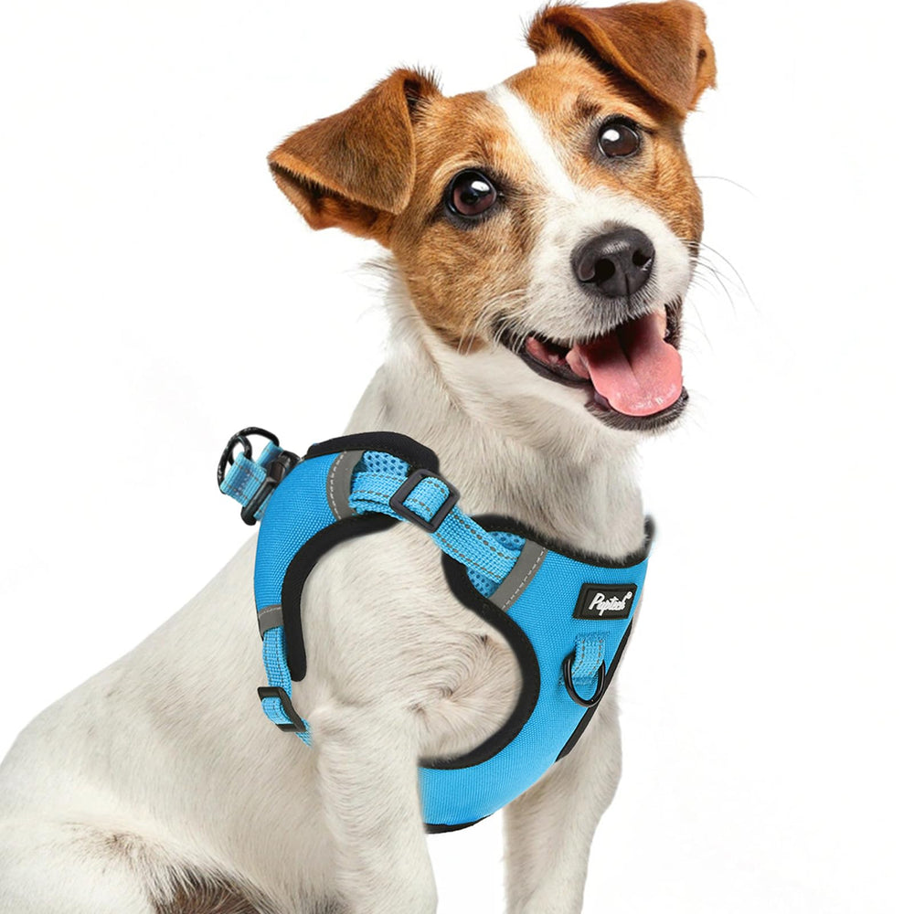 PUPTECK no-pull harness small front view improves walk control.