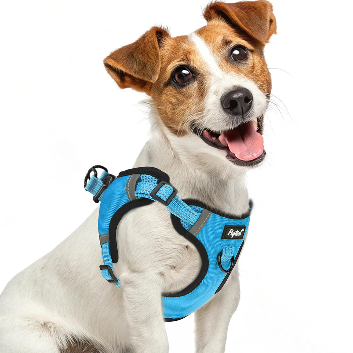 PUPTECK no-pull harness small front view improves walk control.