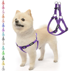 PUPTECK No Pull Harness on a dog, soft nylon for comfortable daily walks.