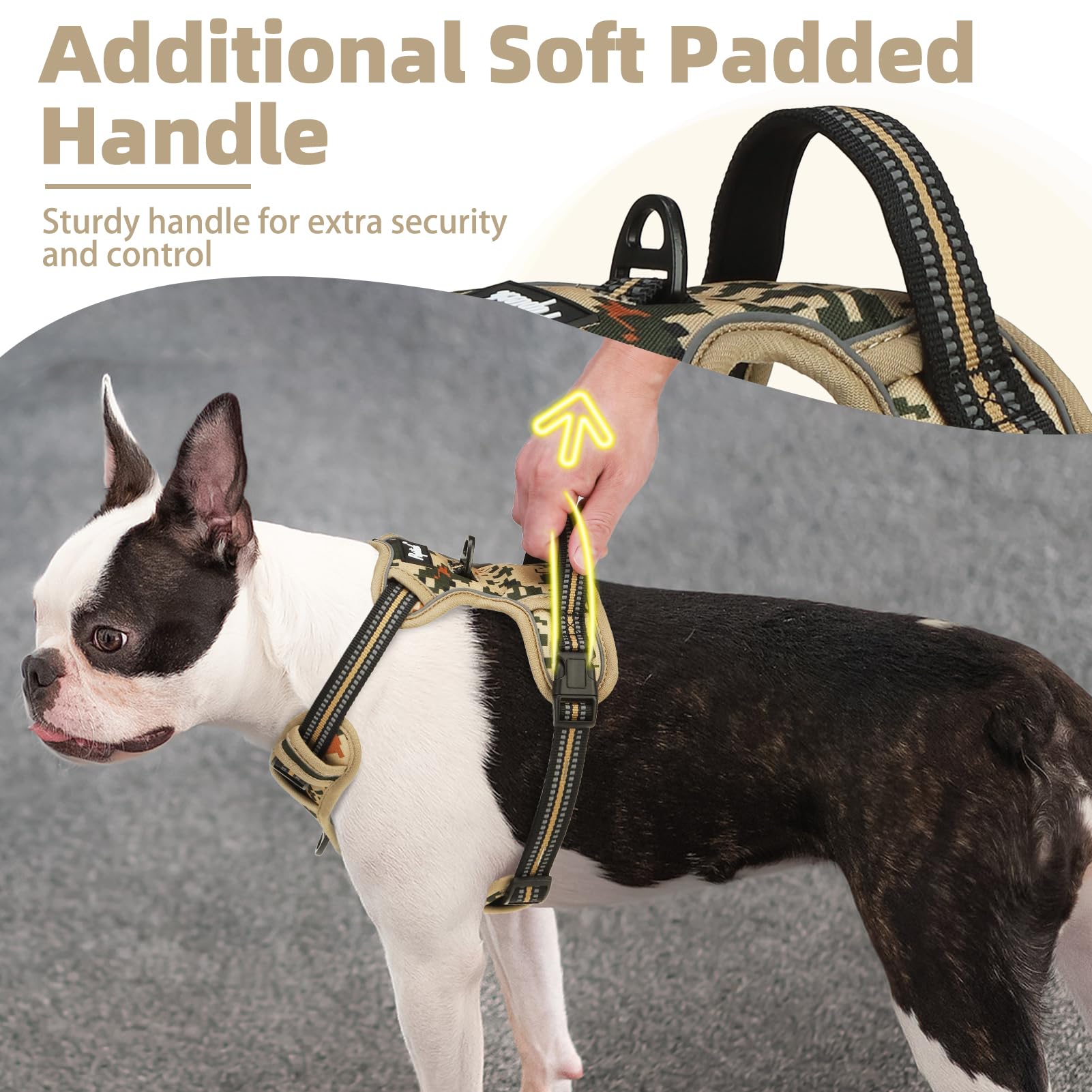PUPTECK no-pull harness back D-ring shown for relaxed movement and rear attachment