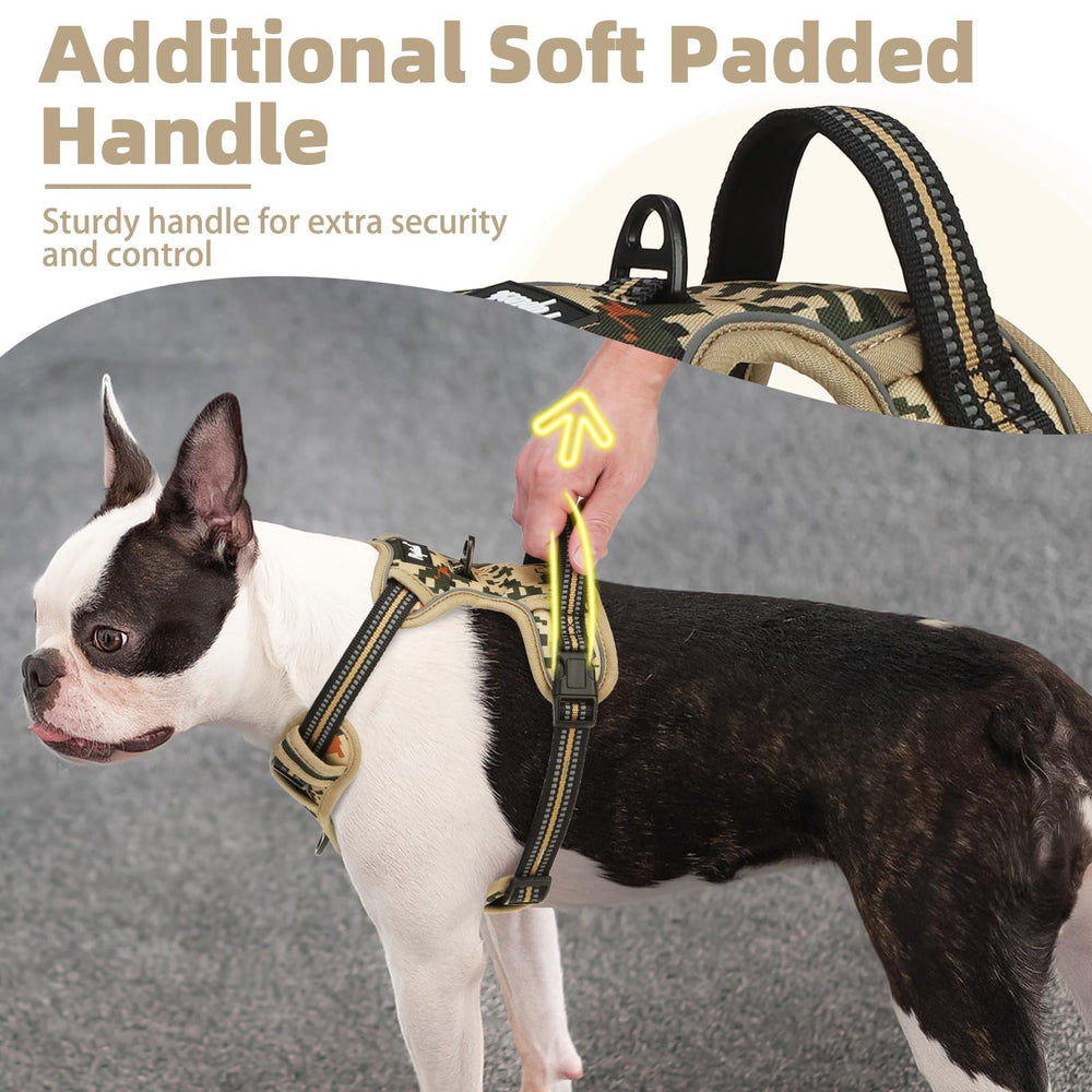 PUPTECK no-pull harness back D-ring shown for relaxed movement and rear attachment