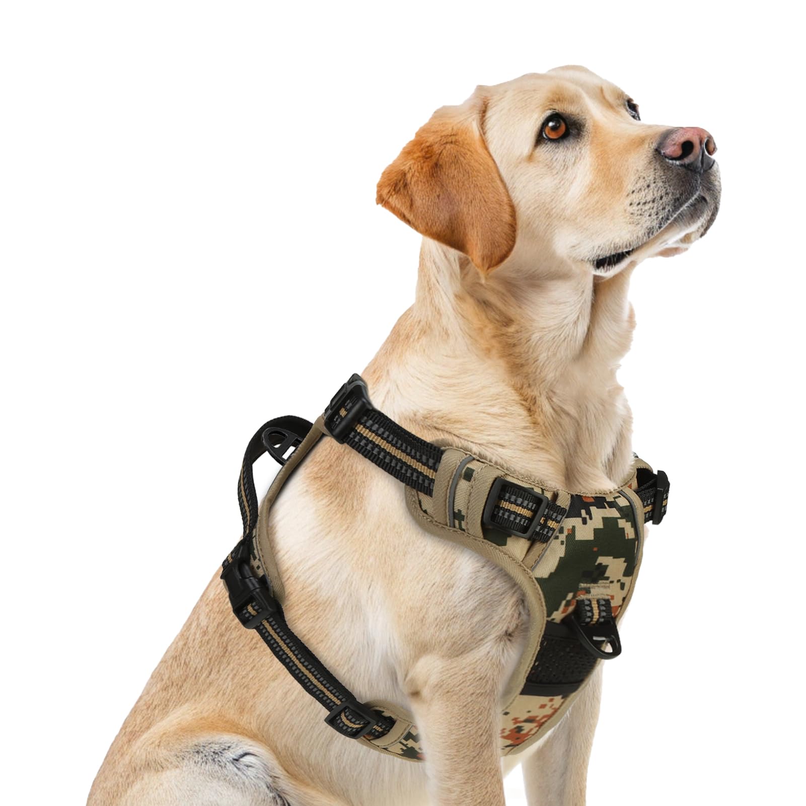 PUPTECK no-pull harness front D-ring for controlled walks and front-leading training