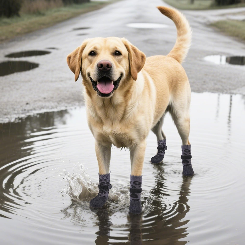 PUPTECK non-slip socks aid senior dogs with better floor traction