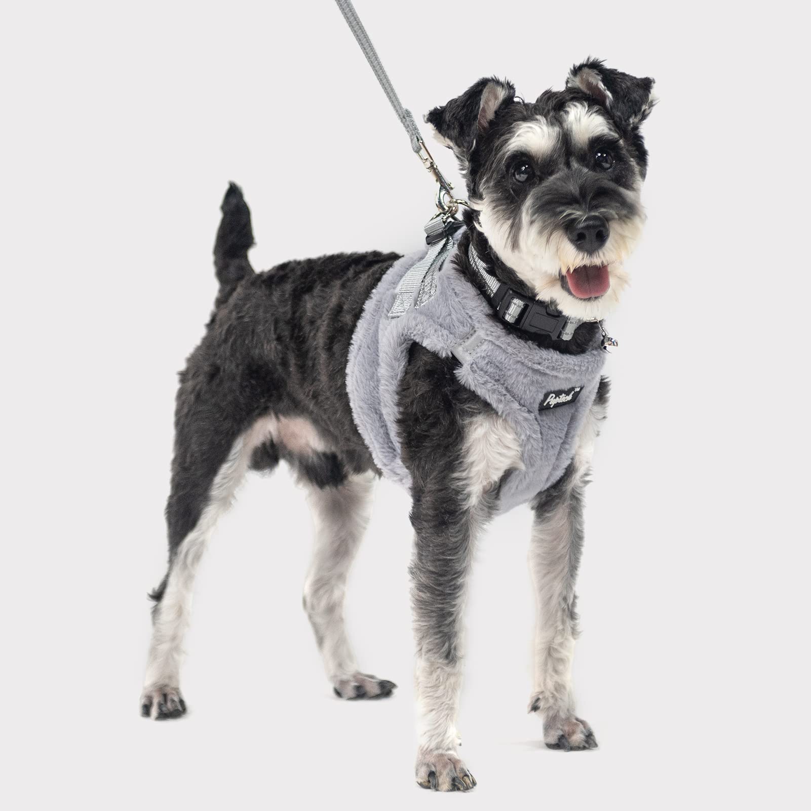 PUPTECK outdoor-walking setup ideal for daily pet adventures in any weather.
