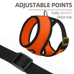 PUPTECK padded vest harness for no-pull control and comfort.