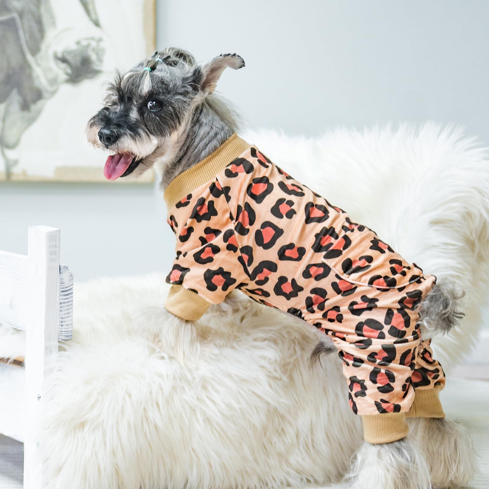 PUPTECK pijama para perro lavado fácil para ahorro de tiempo.