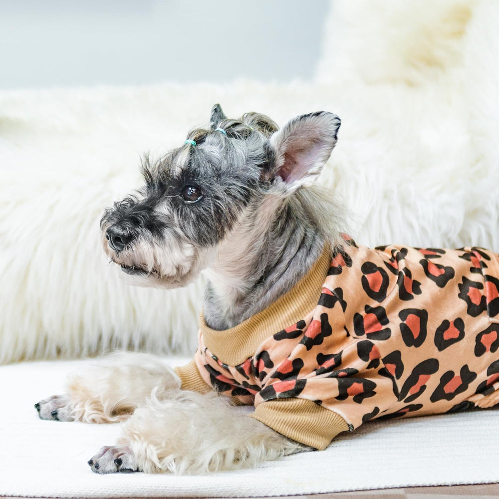 PUPTECK pijama para perro favorece libertad de movimiento al jugar.