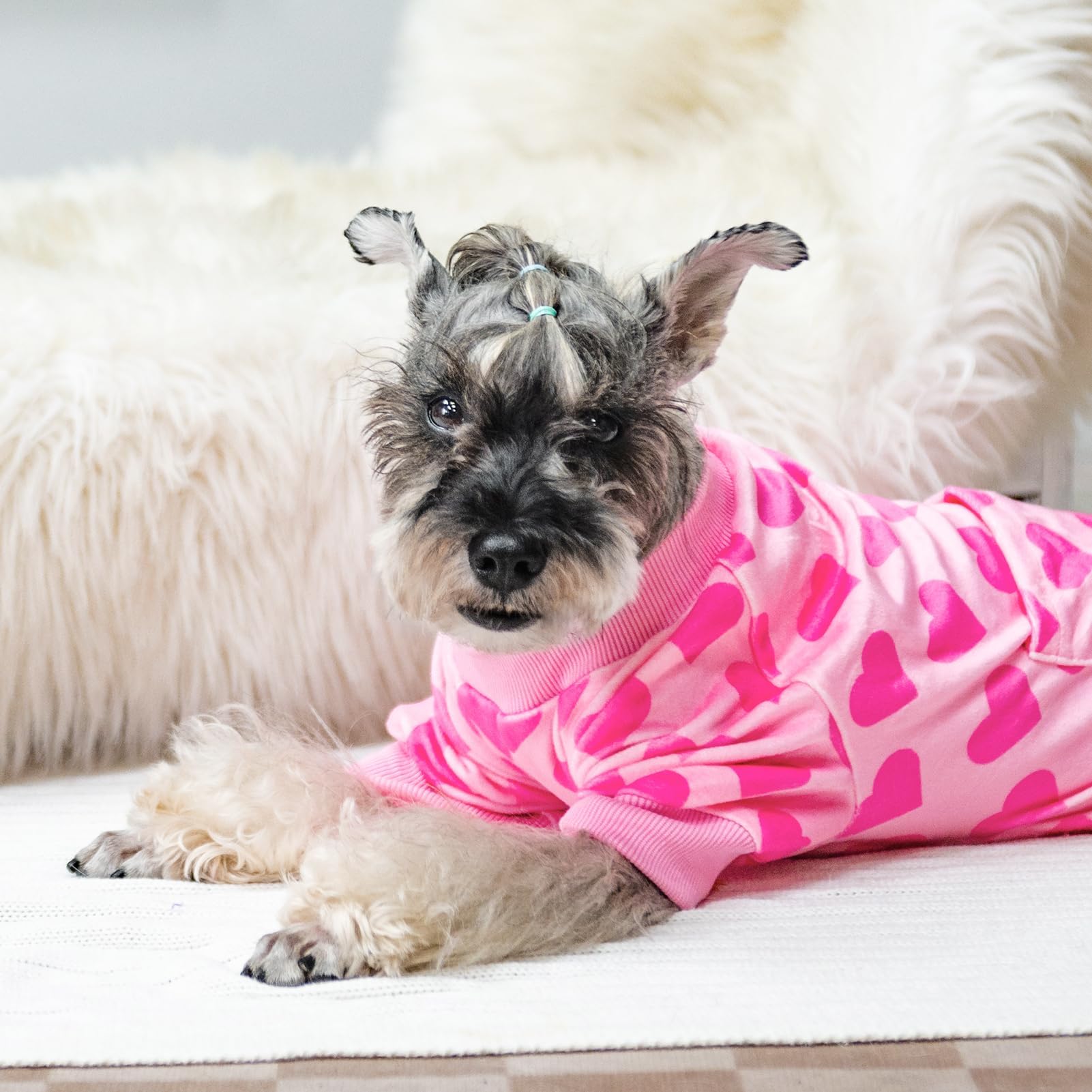 PUPTECK Pijama para perro tejido polar, material suave y duradero.