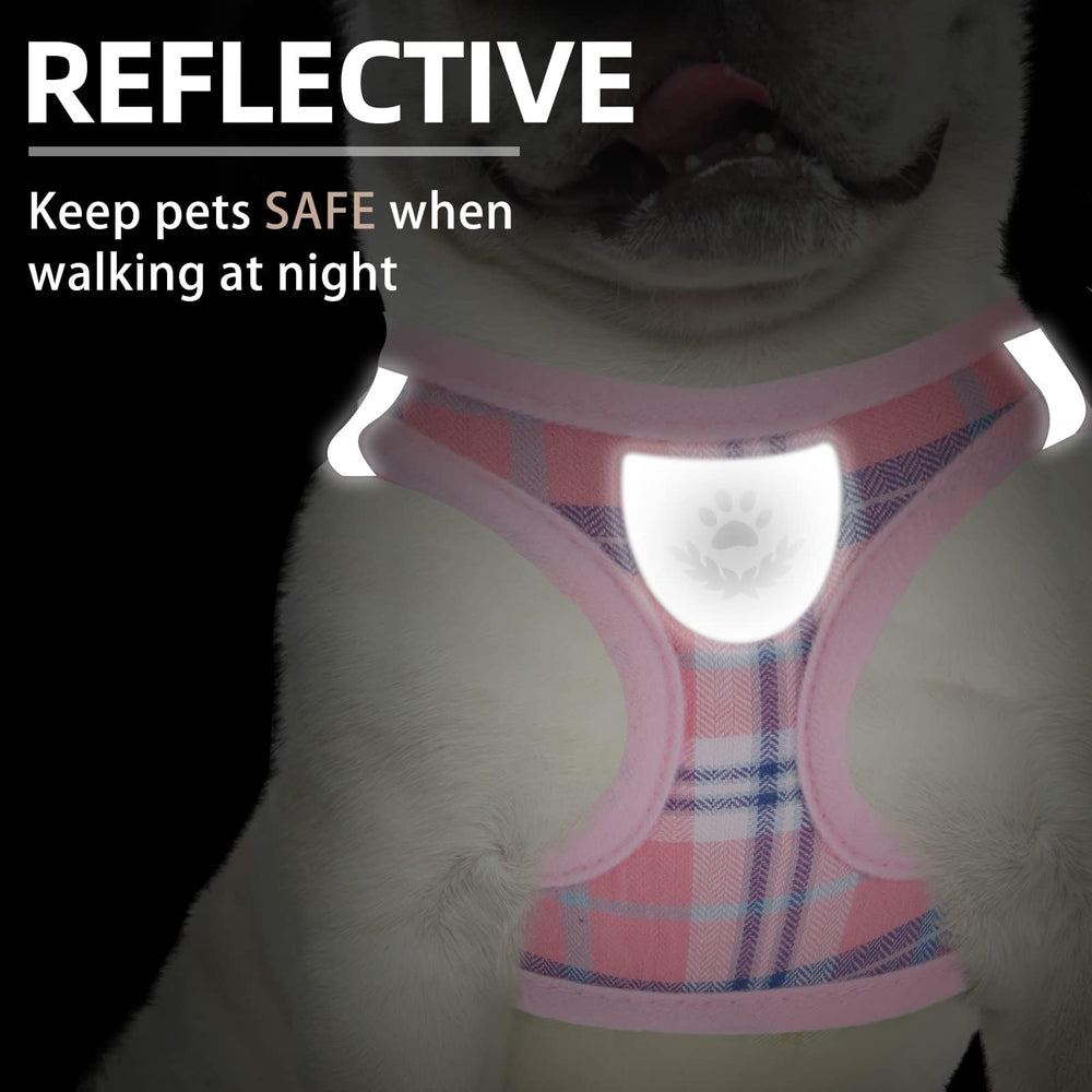 PUPTECK pink XS collar with bell adds audible safety during outings.