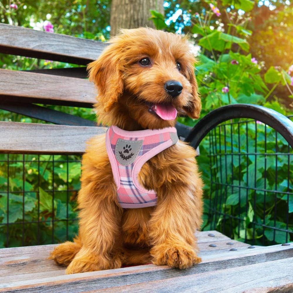PUPTECK pink XS size guide image helps choose the right fit.