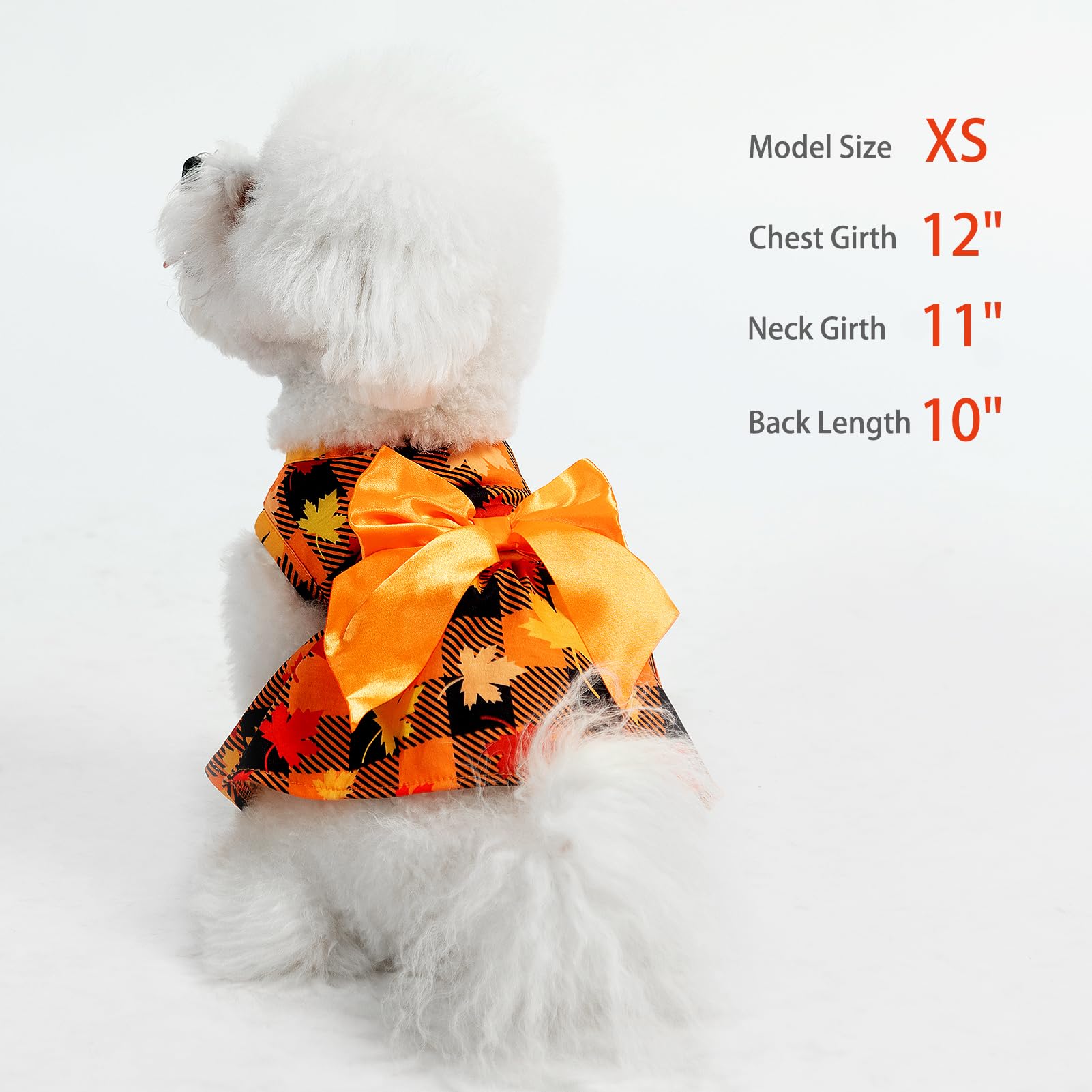 PUPTECK plaid dress on puppy illustrates easy daily wear for small pets