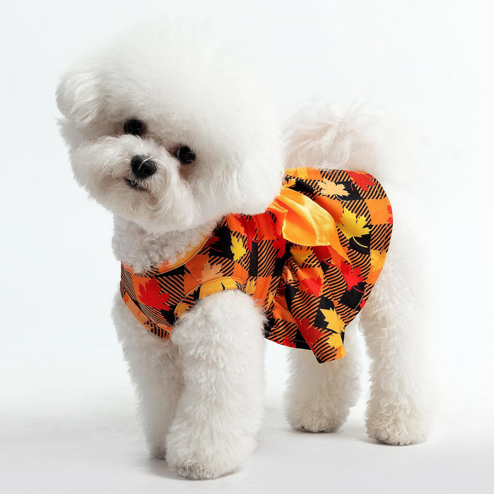 PUPTECK plaid dress size chart image helps pick the right fit
