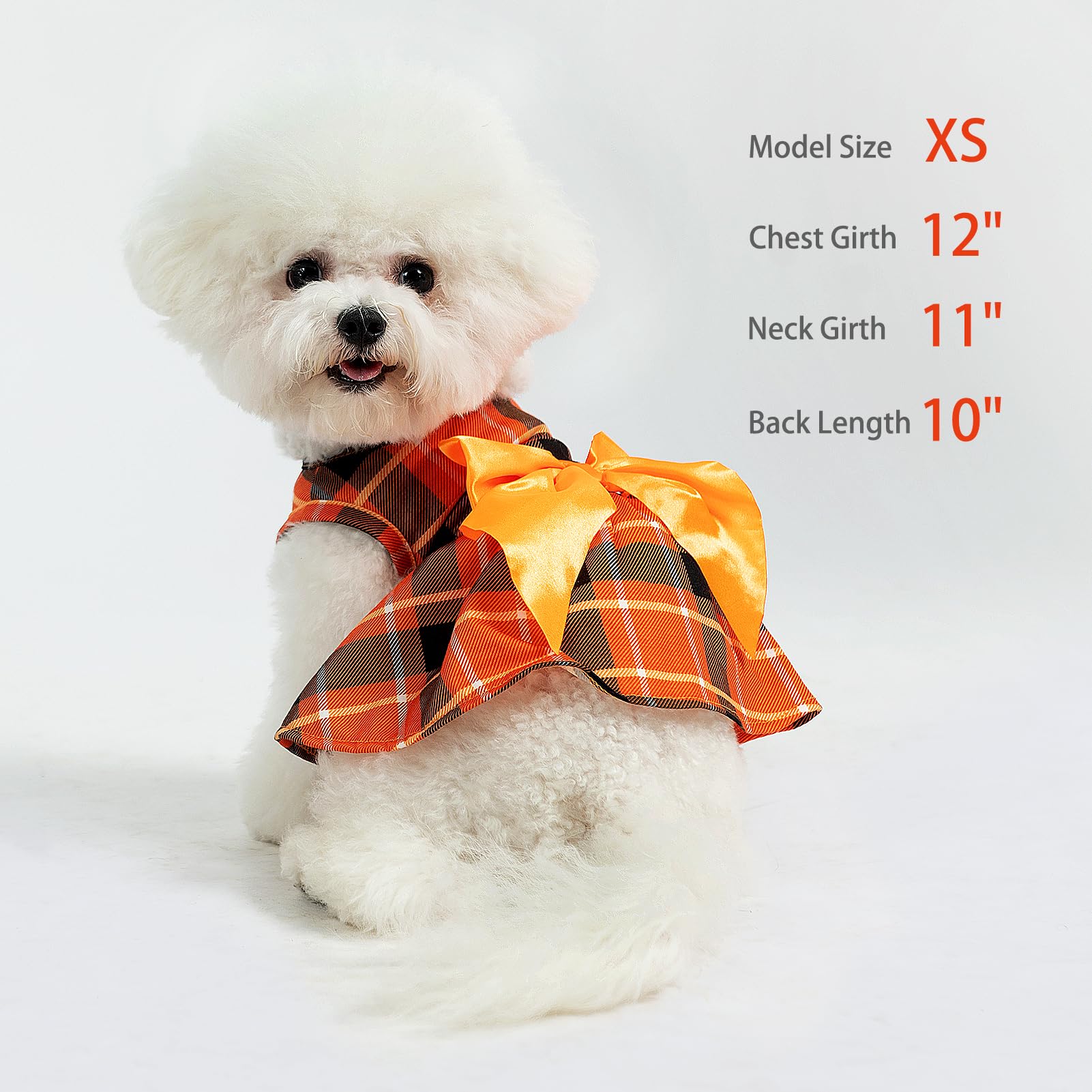 PUPTECK plaid fall dog dress worn by a small dog for everyday comfort.
