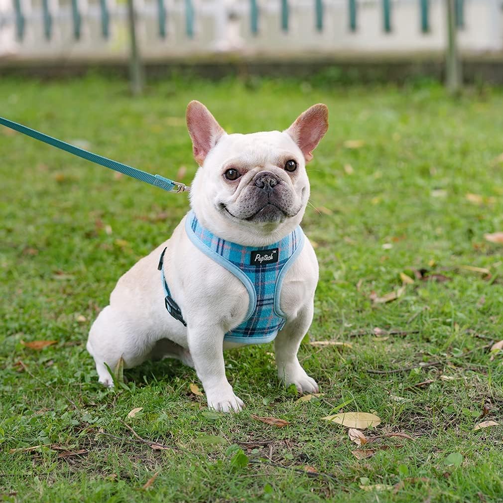 PUPTECK plaid-pattern harness adds stylish everyday wear
