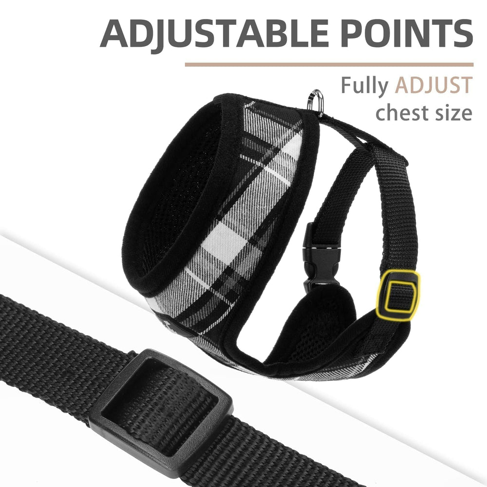 Pupteck plaid pattern detail highlighting unique styling