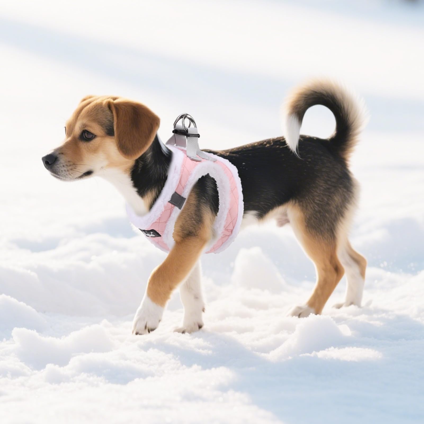 PUPTECK plush winter soft mesh vest keeps small dogs warm.