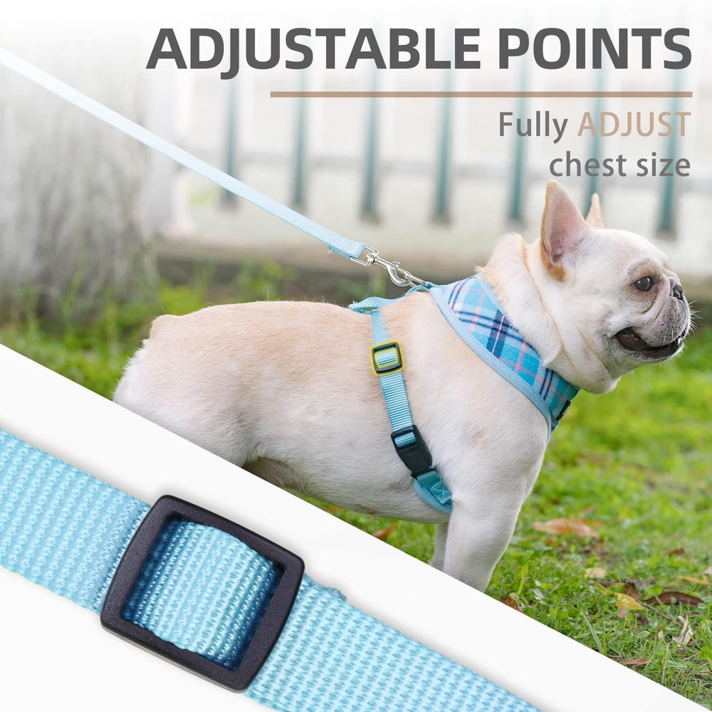 PUPTECK quick-release buckle close-up showing fast, secure fit