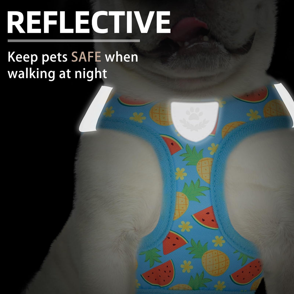 PUPTECK reflective harness seen at night for safer visibility.