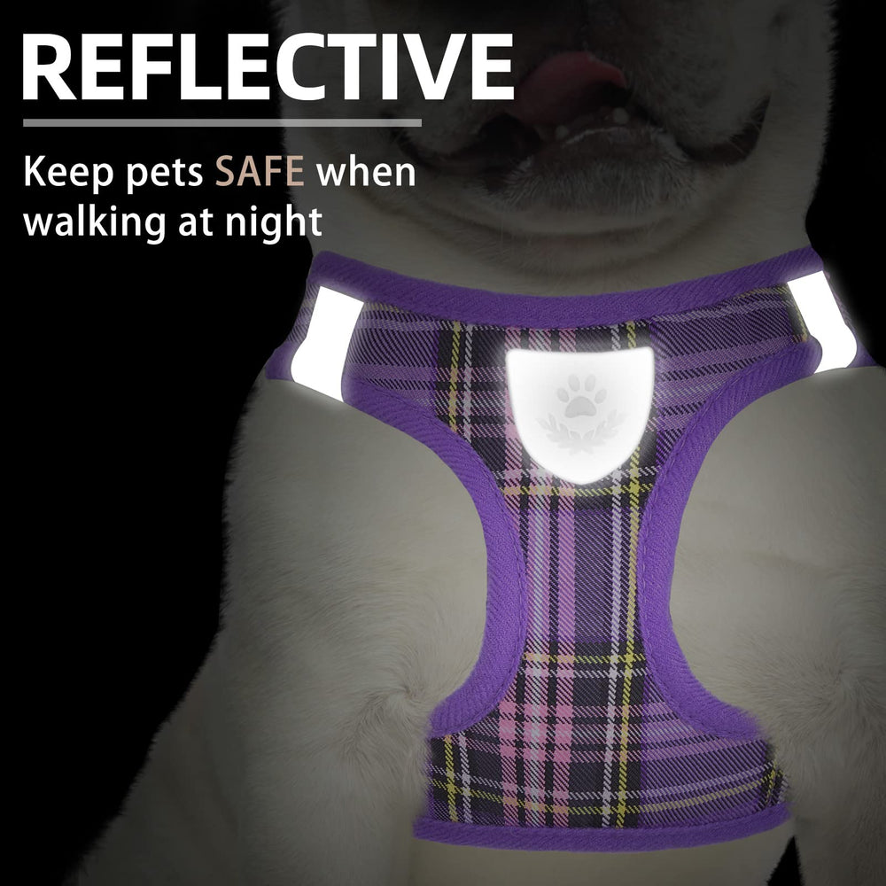 PUPTECK reflective plaid harness highlighted for night safety and style