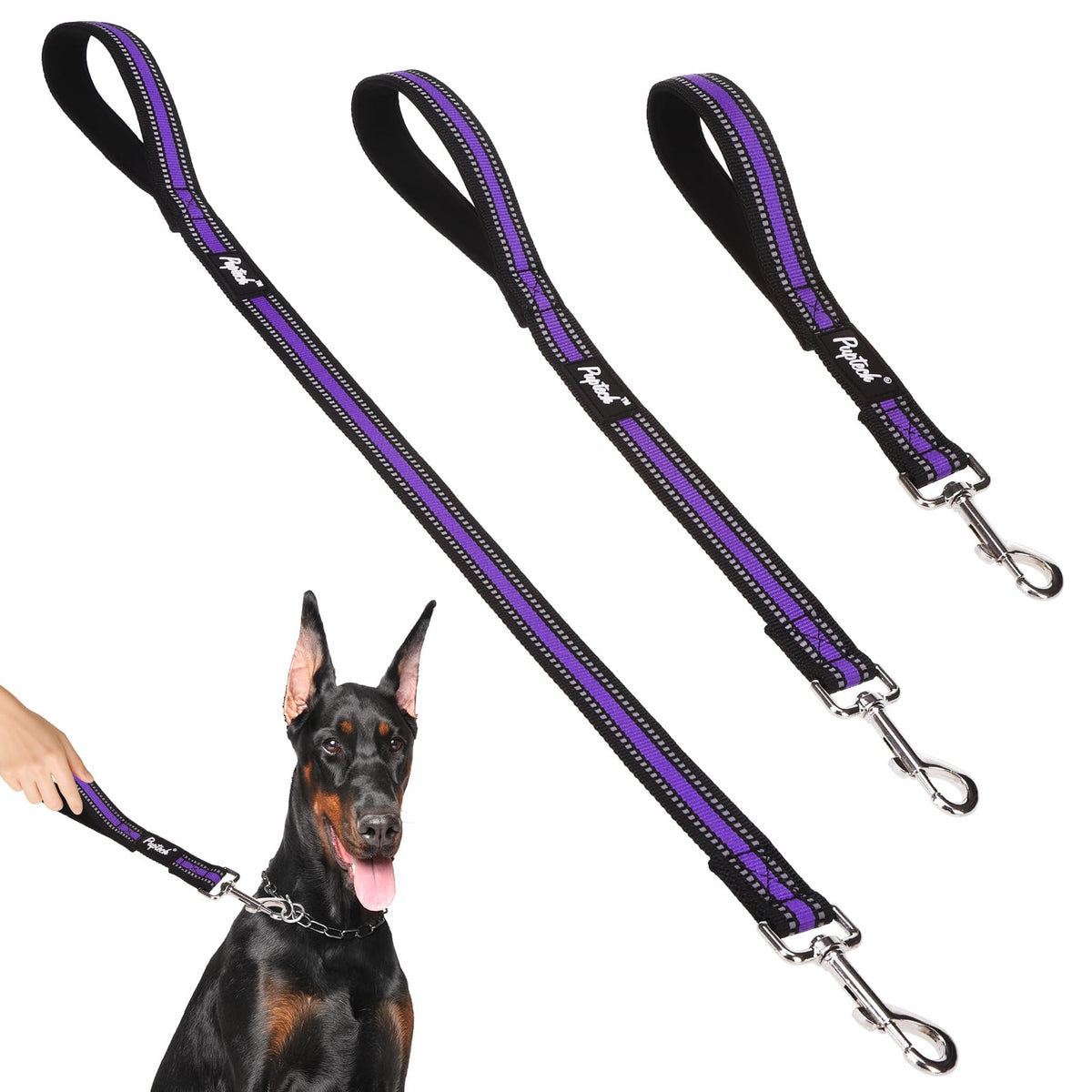 PUPTECK reflective short leash 3-pack in purple for versatile daily walks.