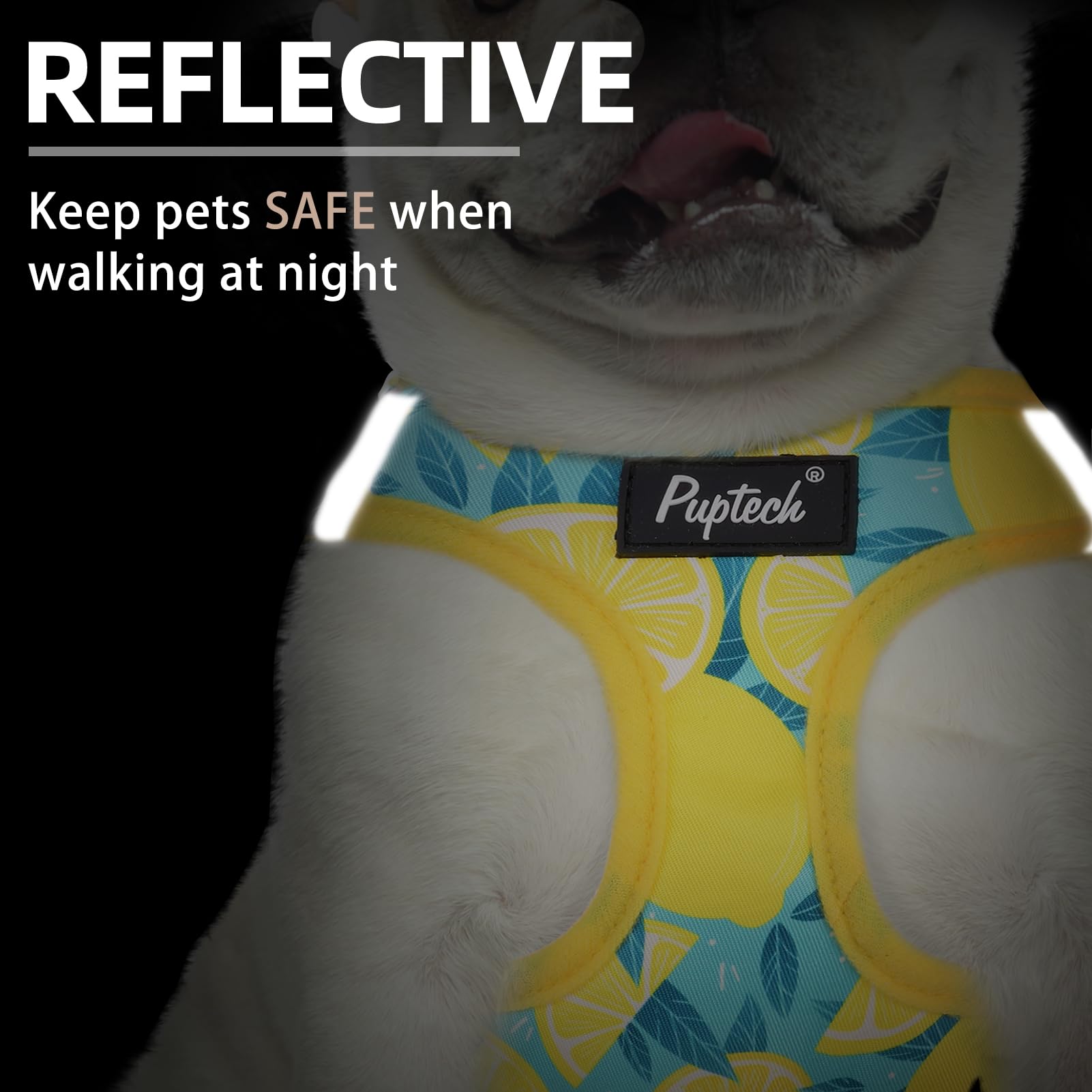PUPTECK reflective strips night-walk shot emphasizes safety in low light.