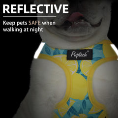 PUPTECK reflective strips night-walk shot emphasizes safety in low light.