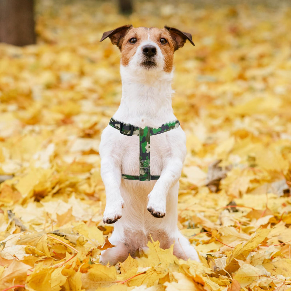 PUPTECK size-adjustable straps fit multiple breeds securely
