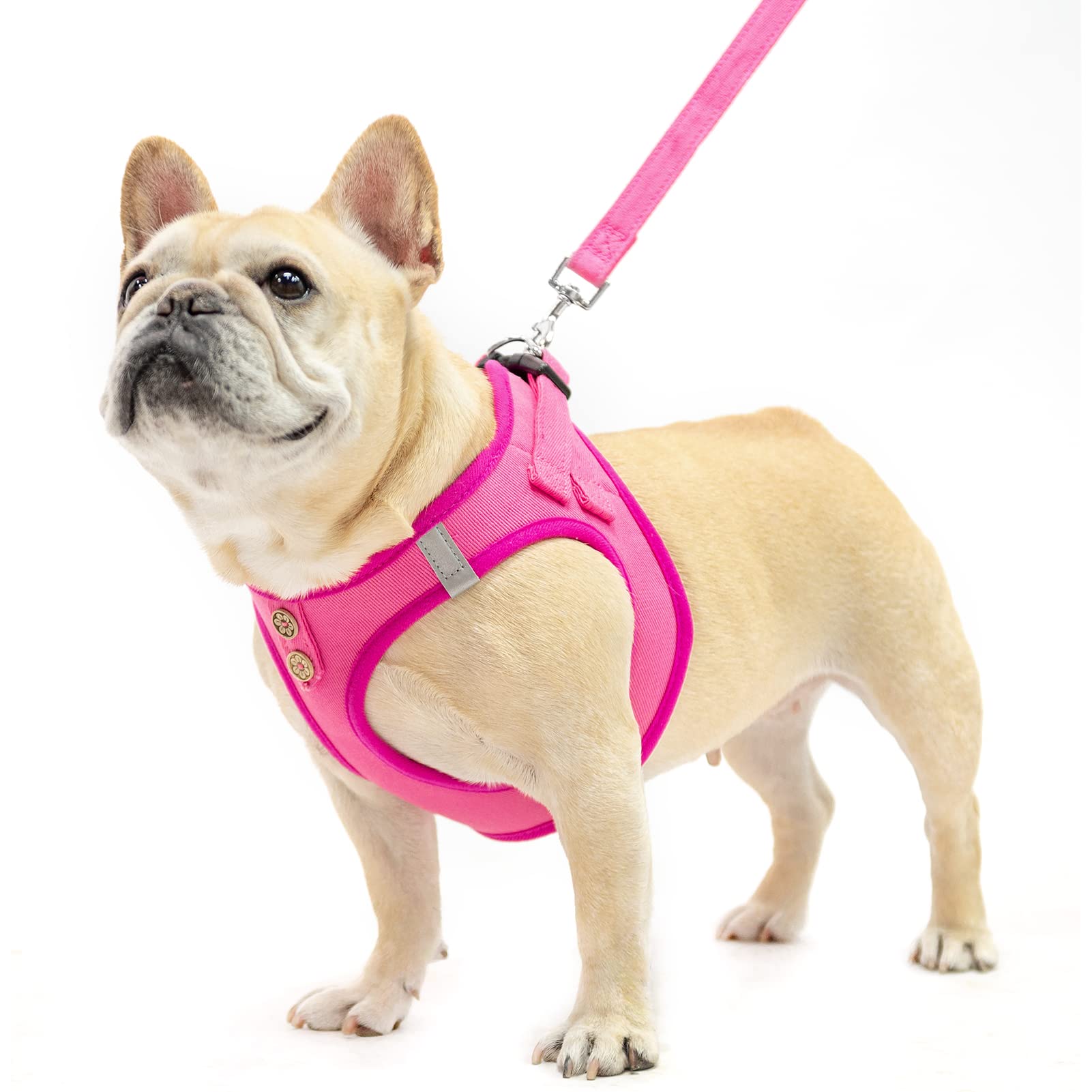 PUPTECK size chart shows chest ranges for correct fit