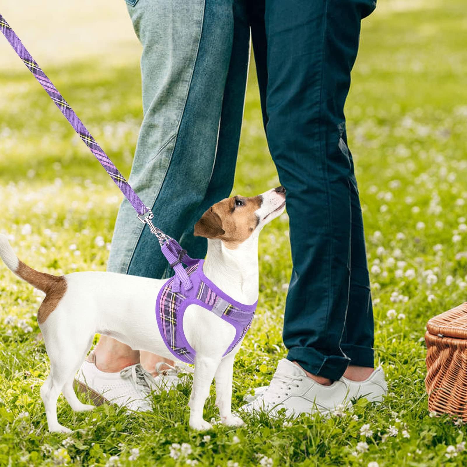 PUPTECK size chart harness chest measurements for proper fit