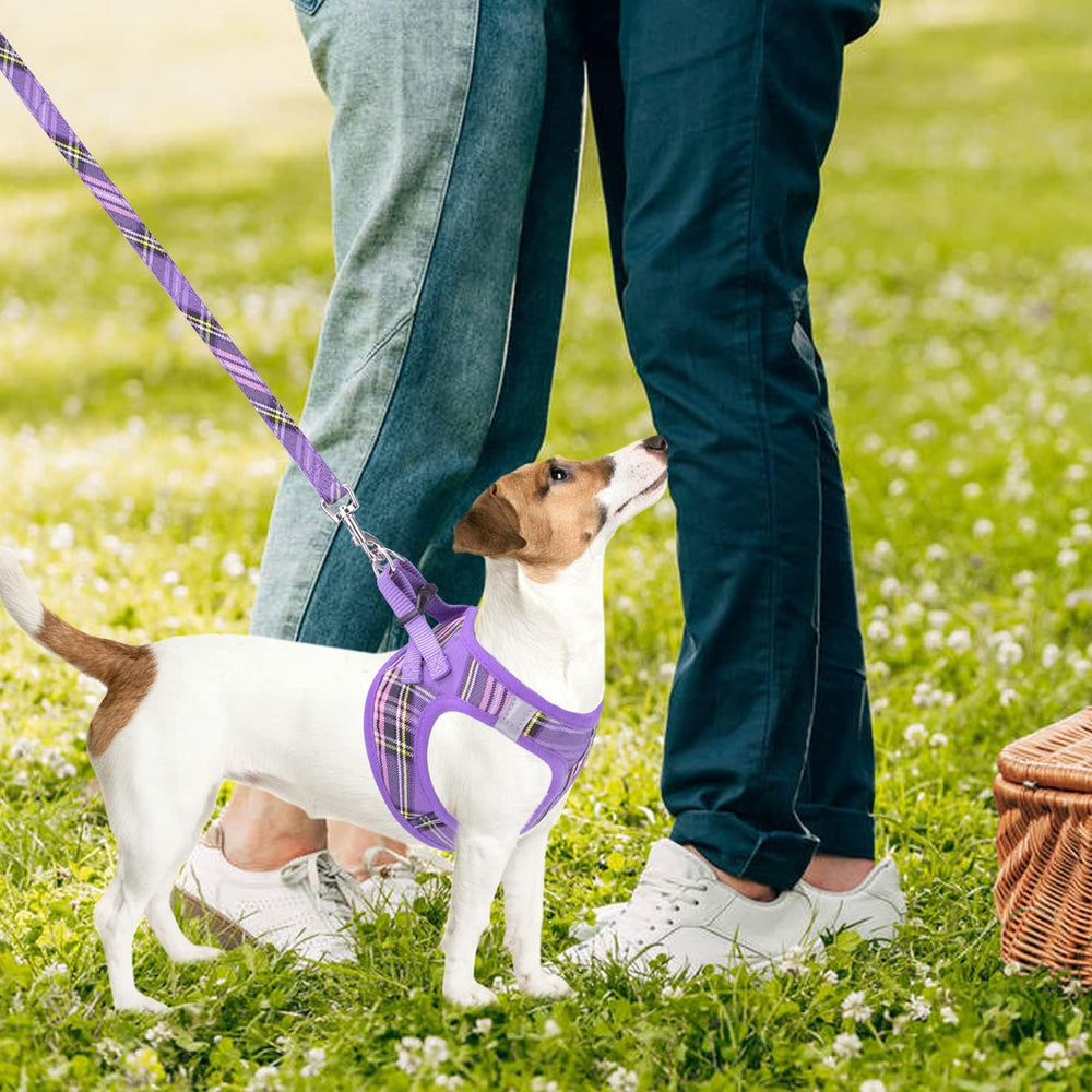 PUPTECK size chart harness chest measurements for proper fit