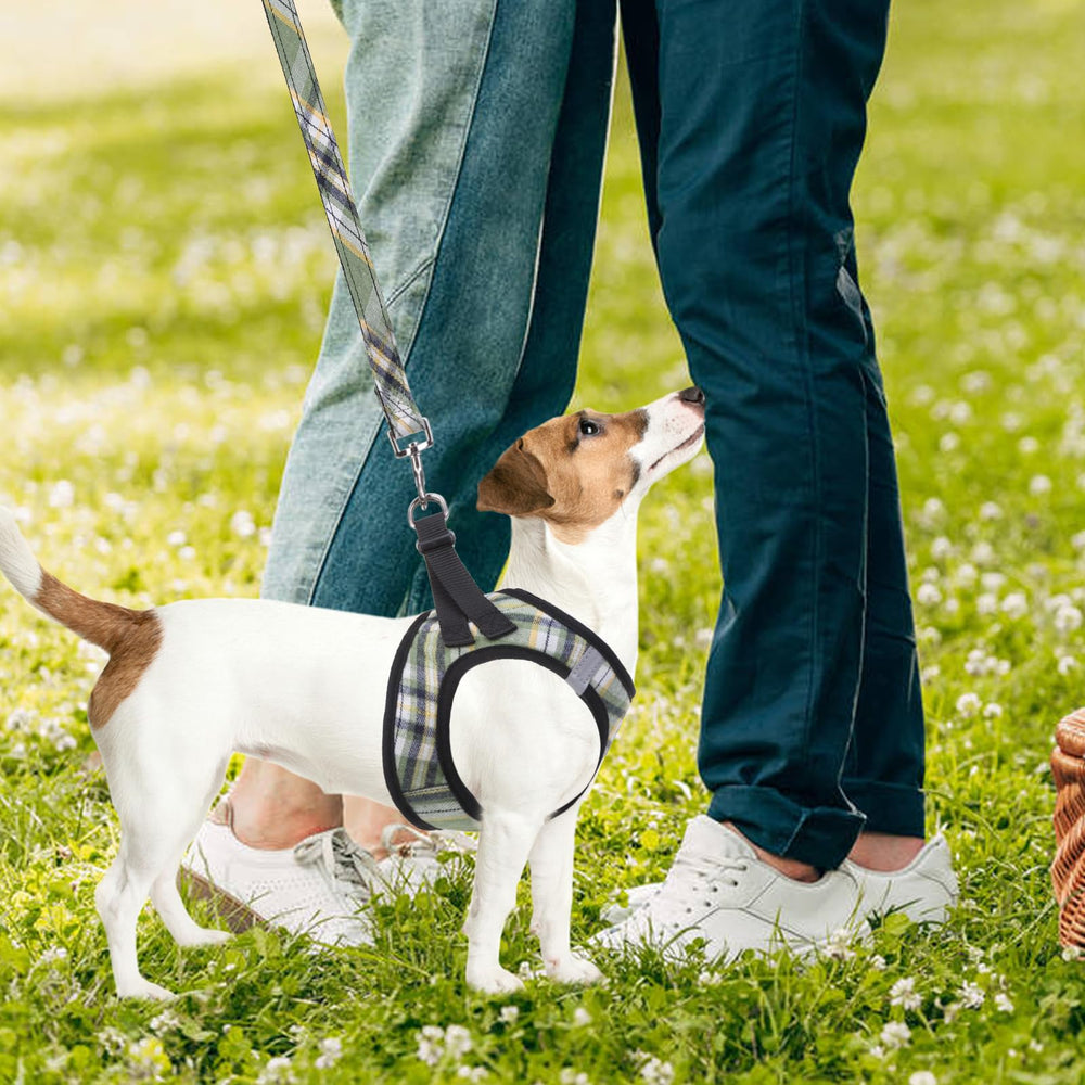 PUPTECK size chart and measurements guide helps find the perfect fit