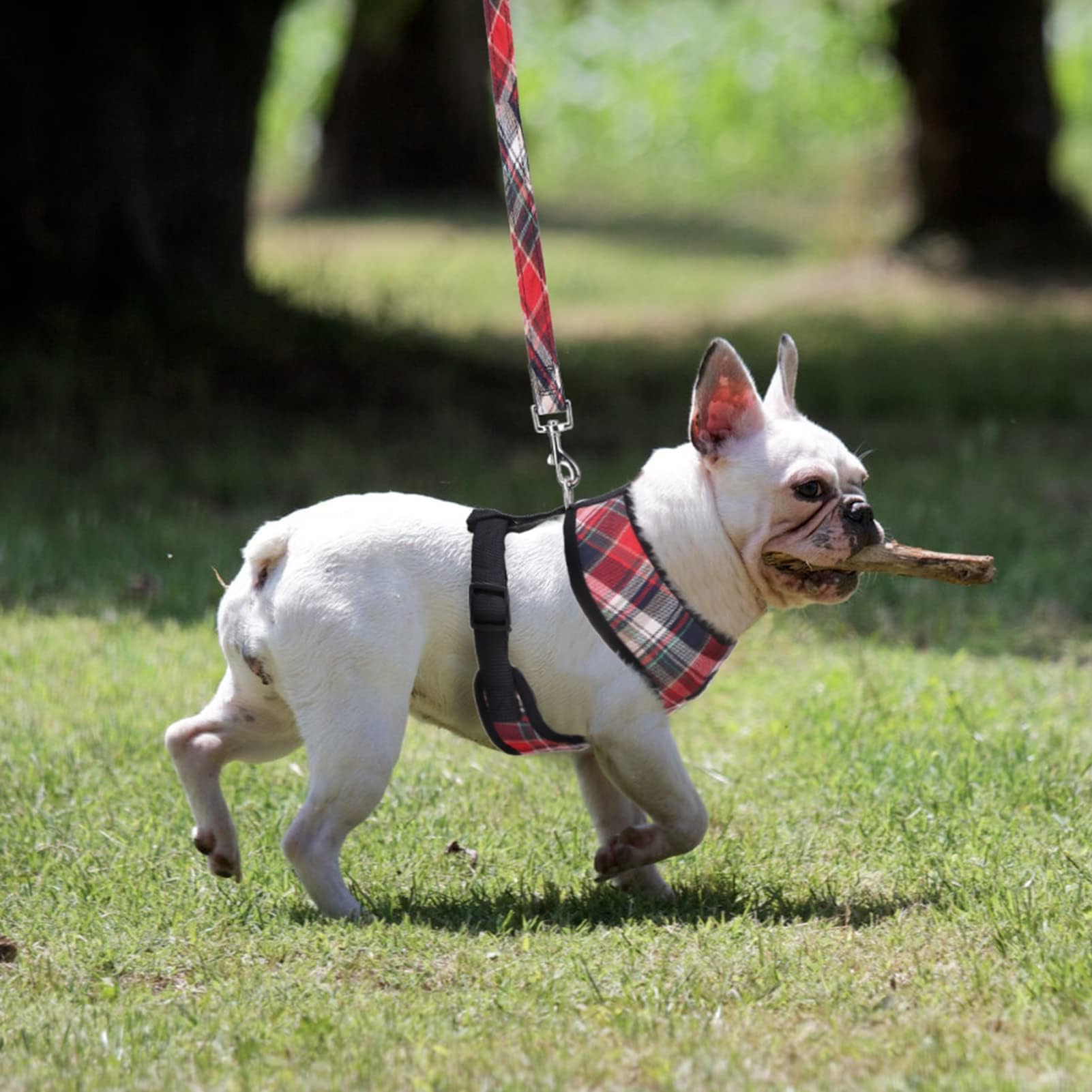 PUPTECK size chart helps find proper fit by measuring neck and chest