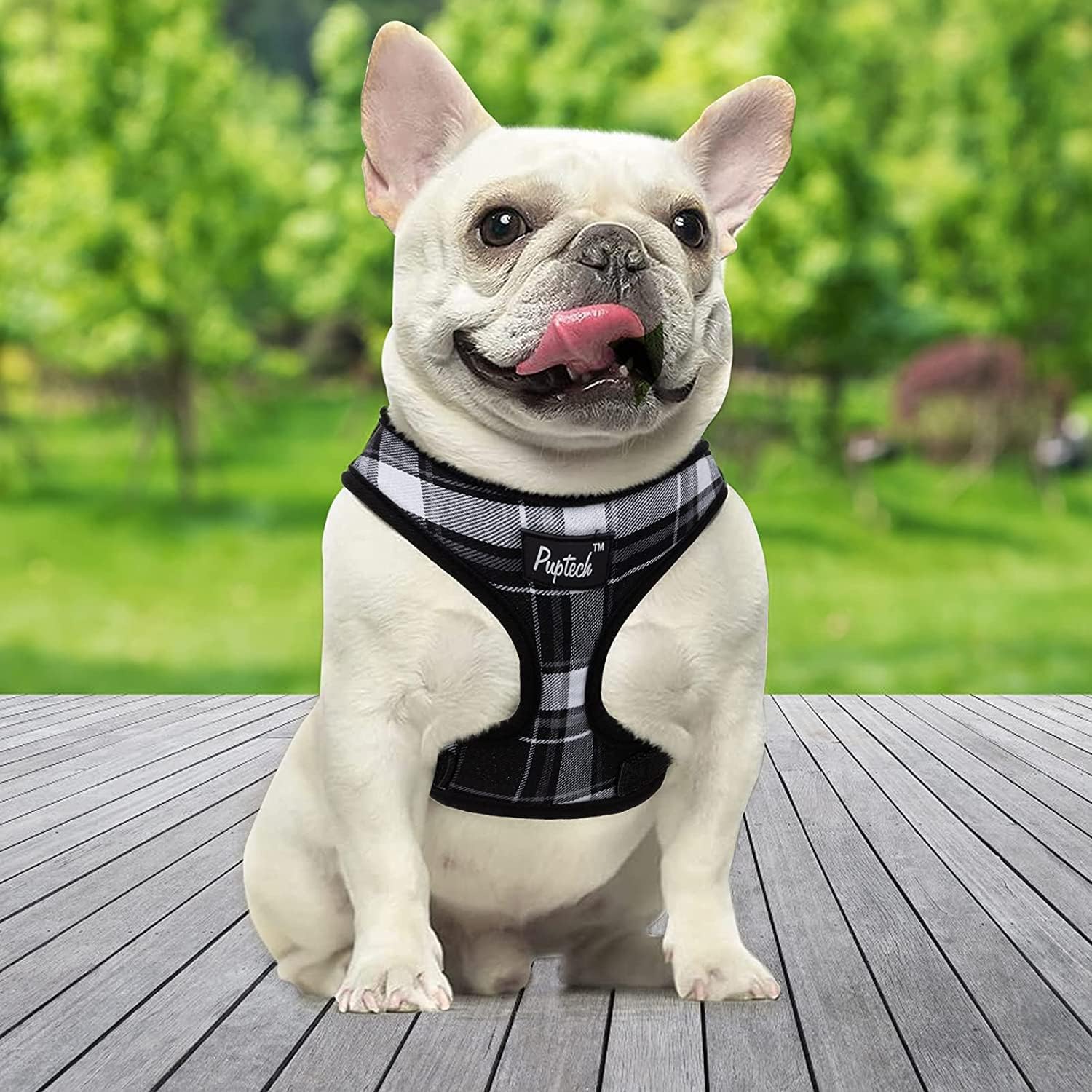 PUPTECK size-chart guide helps pick the right fit for secure outings.