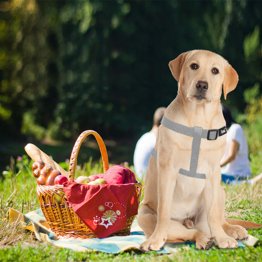 PUPTECK Size guide shows chest girth measurements for best fit.
