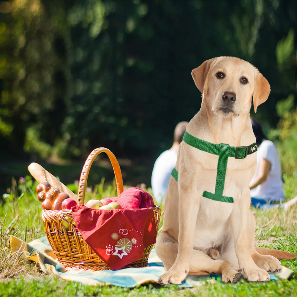 PUPTECK size guide chest girth visuals showing adjustable fit for various breeds.