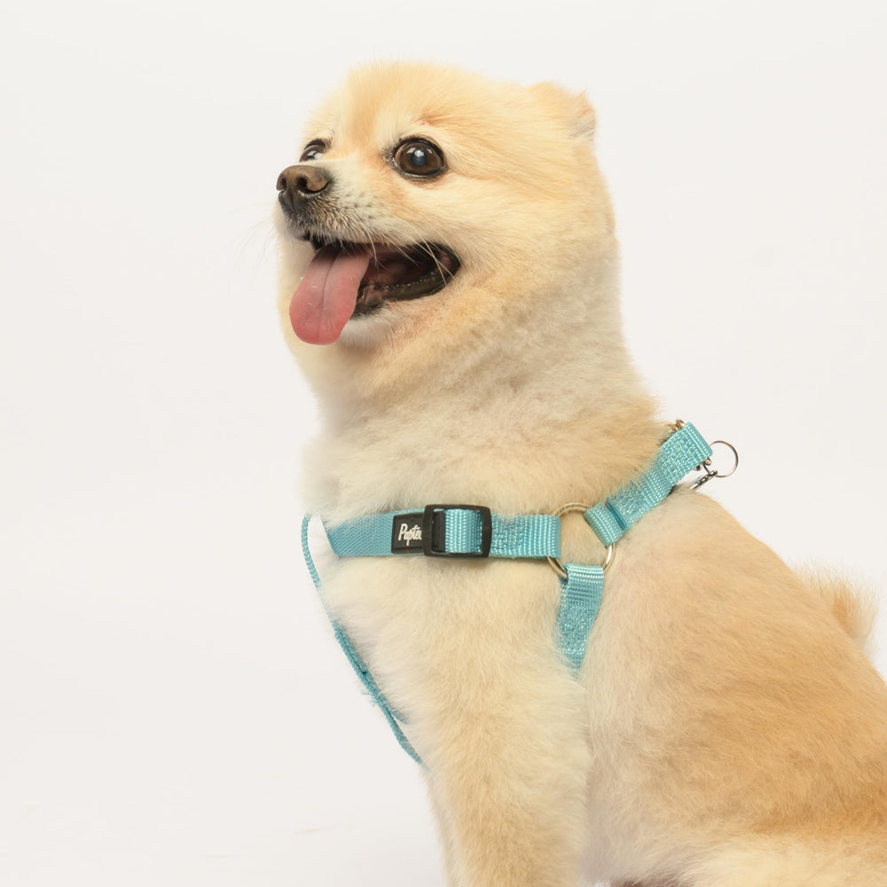 PUPTECK Size guide helps find the right fit for different breeds