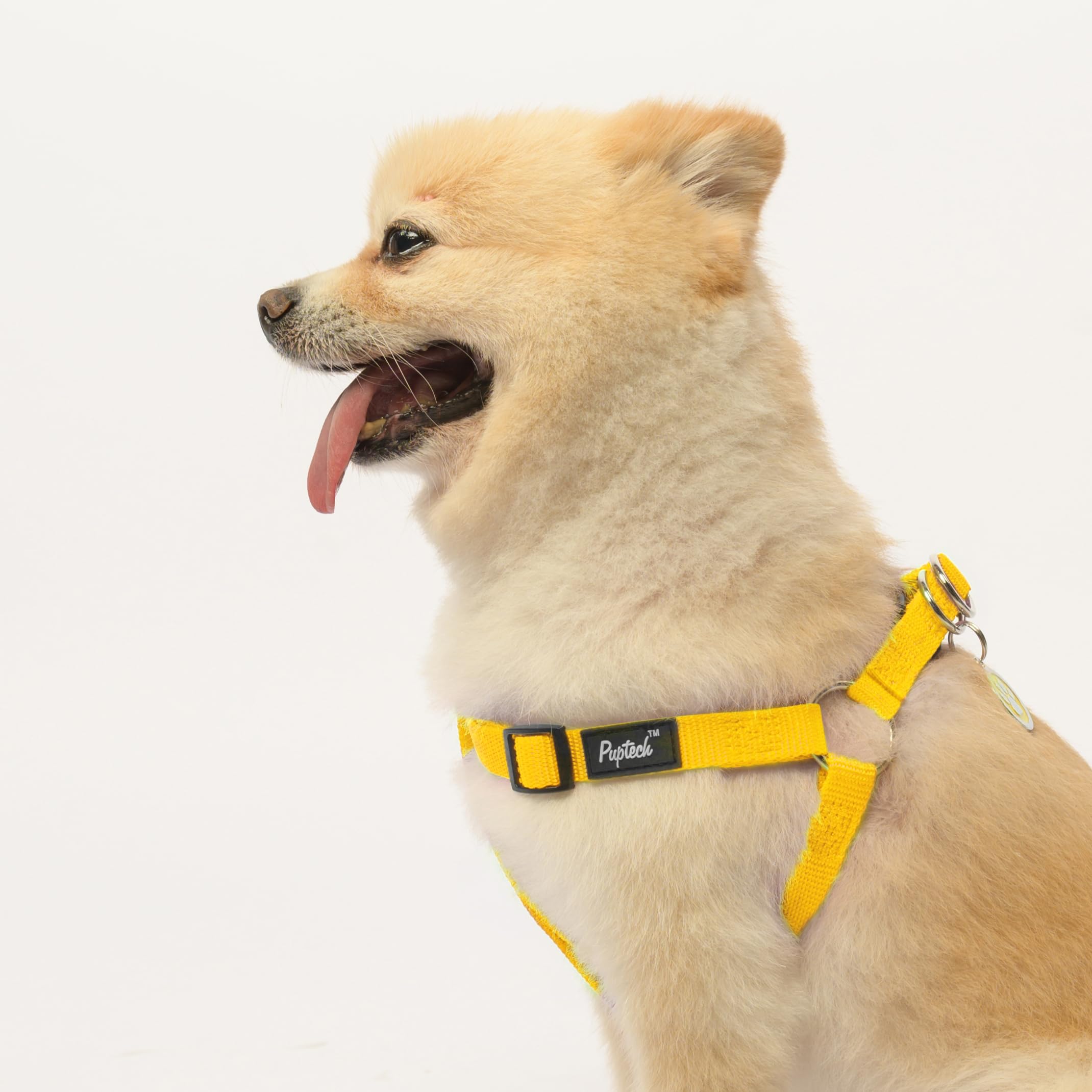 PUPTECK size guide chest measurements helps find the right fit