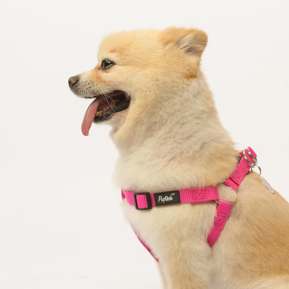 PUPTECK Size Guide for XS-L with adjustable straps for perfect fit
