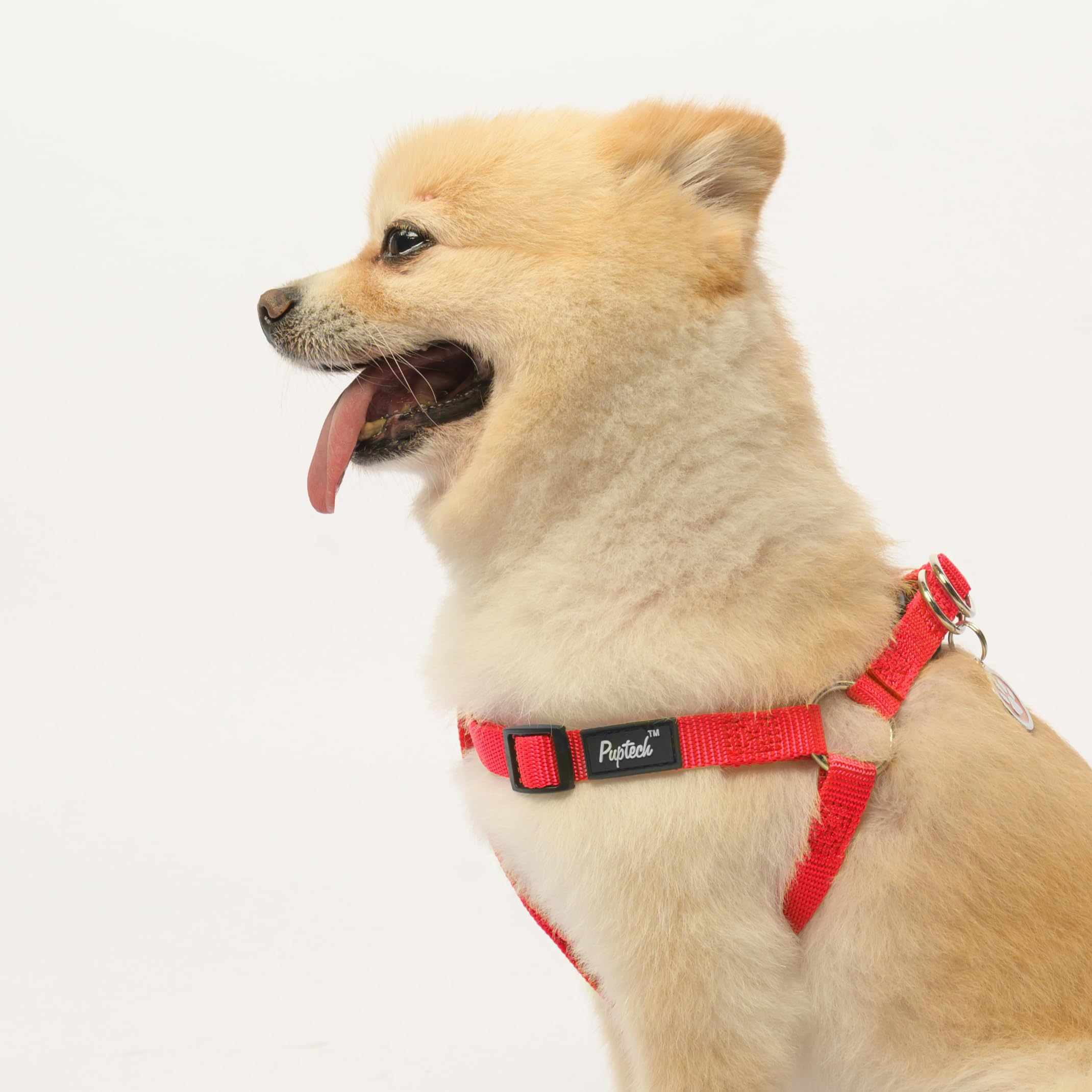 PUPTECK Size Guide XS to L ensures a secure, comfortable fit for your dog.