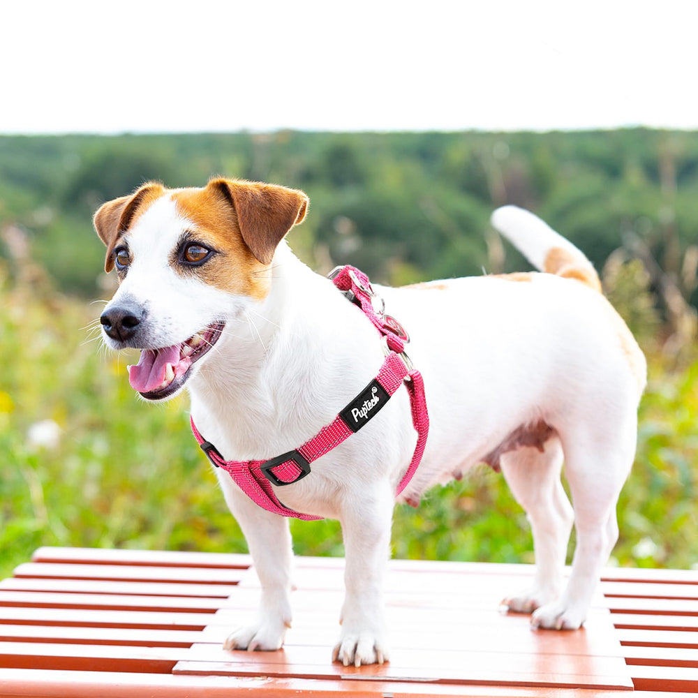 PUPTECK Size guide XS-S-M-L helps achieve a secure fit across breeds.