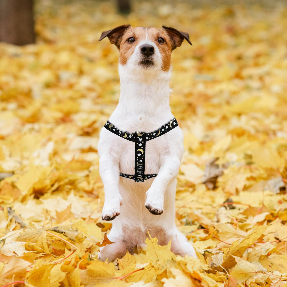PUPTECK size guide XS to L illustrates versatile fit.