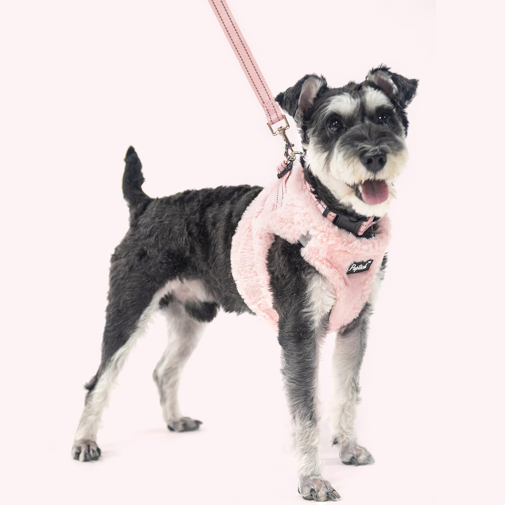 PUPTECK size XS chest 13-14.5 inches fits small breeds.