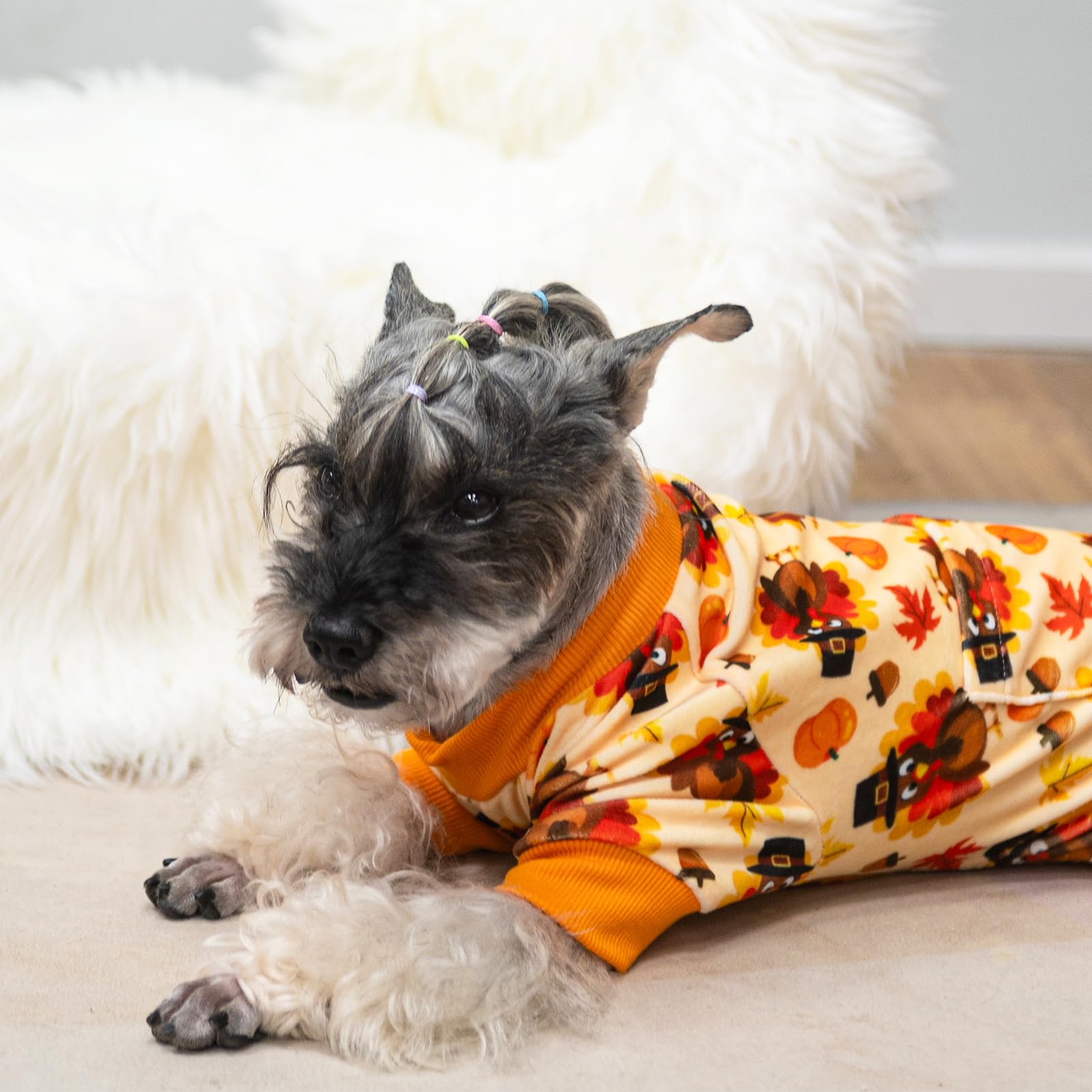 PUPTECK small-dog model lounging in turkey orange XL pajama for comfort