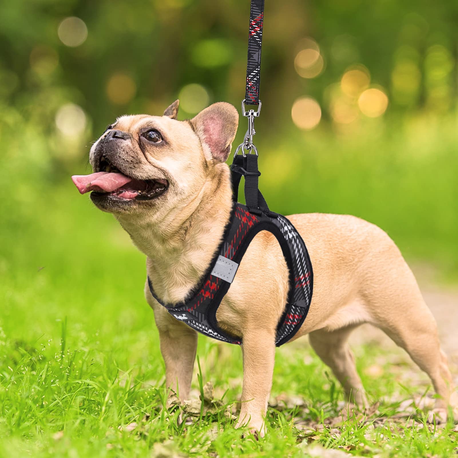 Size chart for PUPTECK small dog harness to ensure proper fit