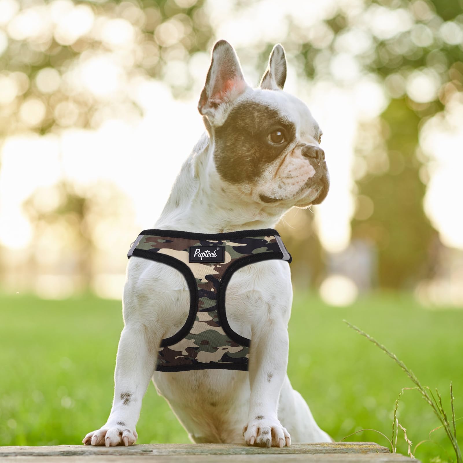 PUPTECK small dog size guide imagery helps choose the right fit.