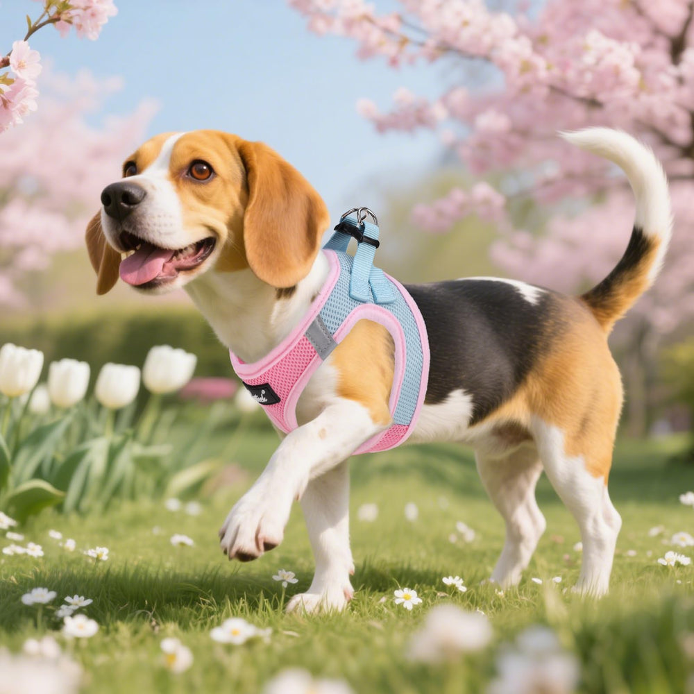 PUPTECK small-dogs size guide helps choose the right fit