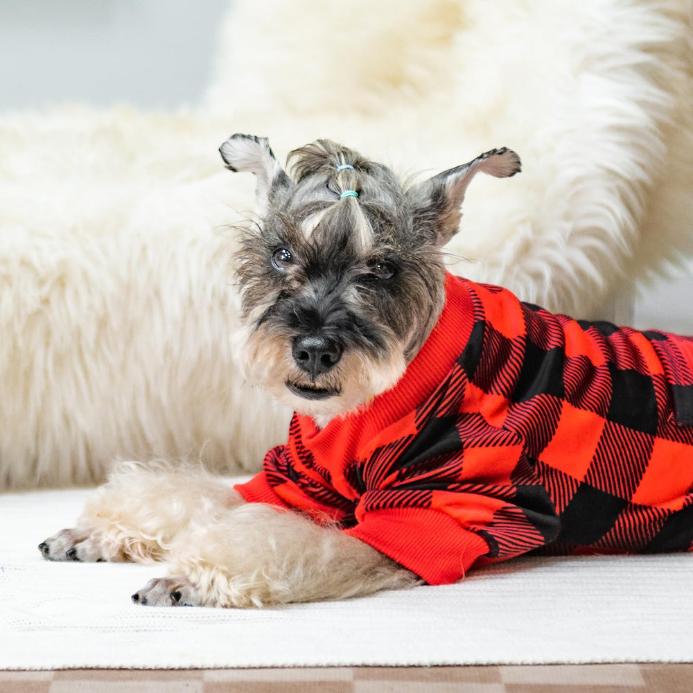 PUPTECK machine-washable fabric stays vibrant after washing.