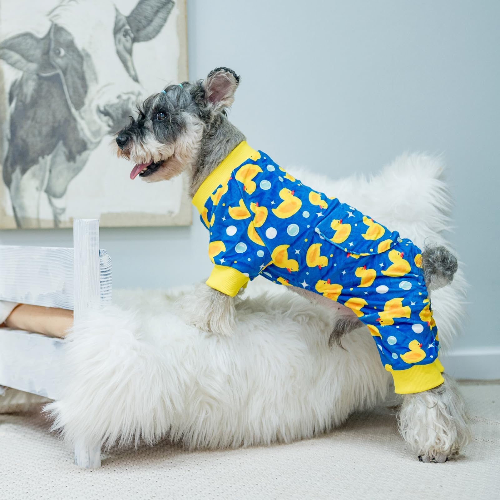 PUPTECK patterned dog pajamas on bed minimize shedding mess during naps.