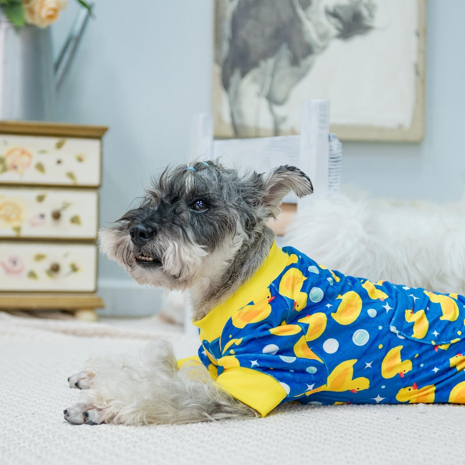 PUPTECK cute patterns enhance style for indoor wear