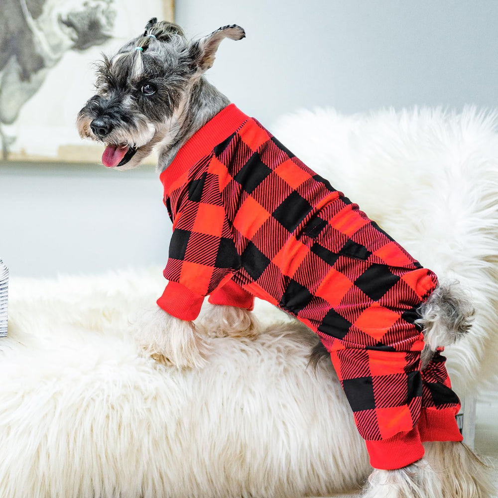 PUPTECK cute patterns add stylish flair for pets.
